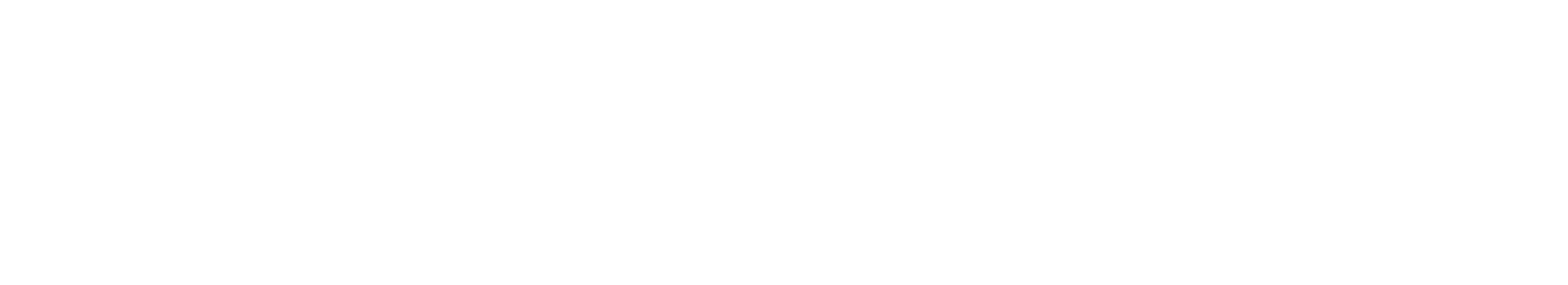 Silent-Partner-Logo-Primary-White.png
